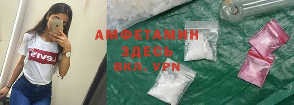 шишки Абинск