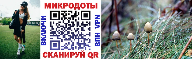 omg вход  Торжок  Псилоцибиновые грибы MAGIC MUSHROOMS  сколько стоит 