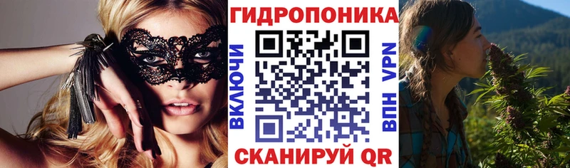 как найти закладки  Торжок  Конопля VHQ 